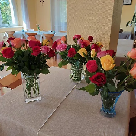 住宿加早餐酒店 D'hotes Le Saut De La Truite 奥尔贝