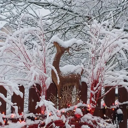 D'hotes Le Saut De La Truite 3* 奥尔贝